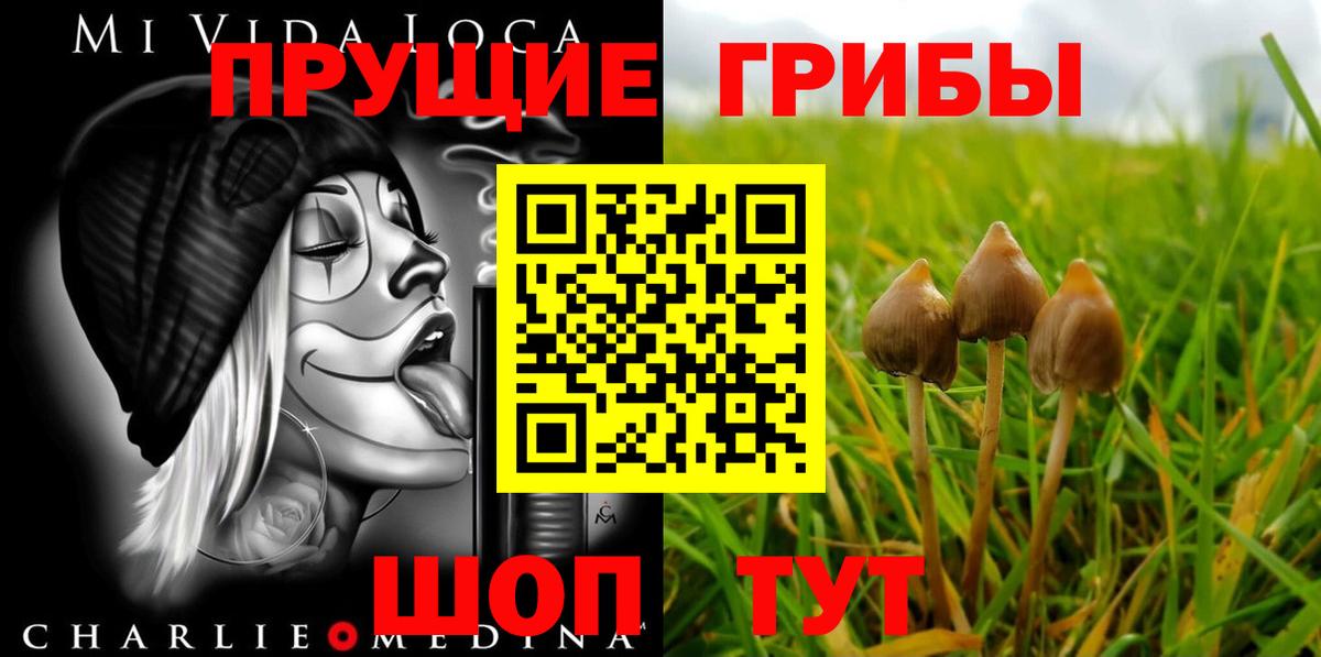 Псилоцибиновые грибы ЛСД  Вход с VPN  Гагарин  Галлюциногенные грибы GOLDEN TEACHER 
